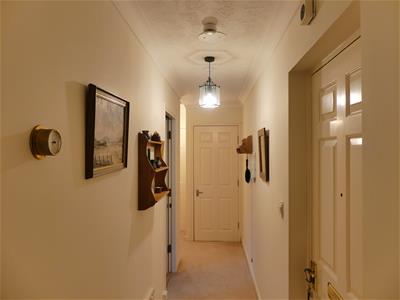 Picture 5